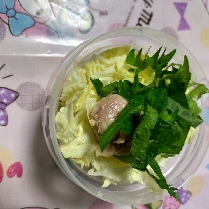 白菜のツナマヨポン酢╰( Ｕ ・ᴥ・)m美味しかったです(◍•㉦•◍)๑ﾜﾝ!白菜黄色の部分が柔らかいと教えてくれて有難うございます！